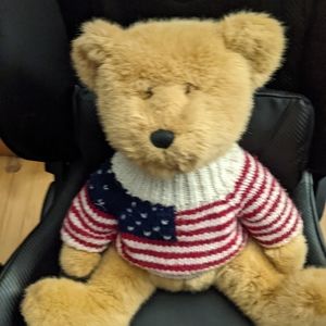 American Sweater Bear